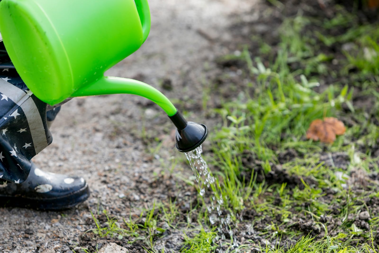 Kinder spielen mit Naturmaterialien